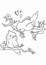 Free & Easy To Print Bird Coloring Pages  Tulamama sketch template