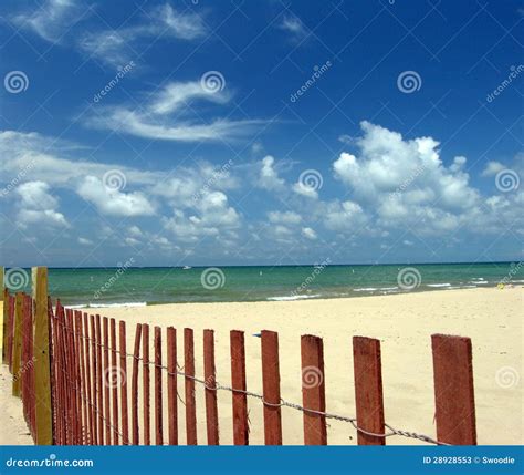 Beach Seascape with Sand Fence Stock Image - Image of seashore, nature: 28928553