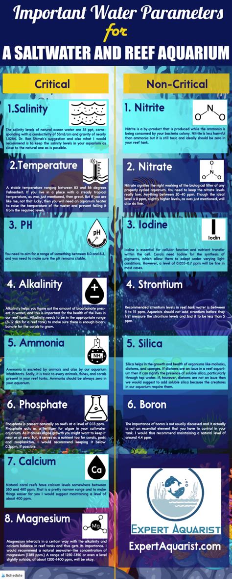 Most Important Water Parameters for a Saltwater and Reef Aquarium | Saltwater aquarium, Reef ...