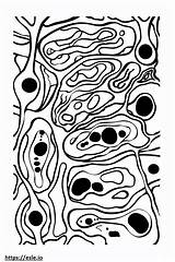 Cell membrane Coloring Page sketch template