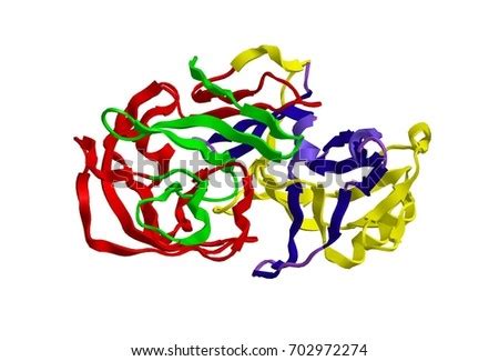 Molecular Structure Digestive Protein Pepsin Enzyme Stock Illustration 702972274 - Shutterstock