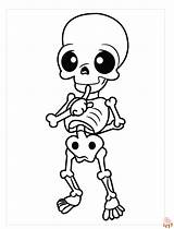 Skeleton Coloring Pages Free Printable Sheets For Kids sketch template