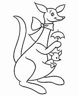 Baby Kangaroo Coloring Pages  Nation sketch template