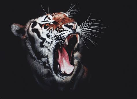 Dark Tiger Wallpapers - Top Free Dark Tiger Backgrounds - WallpaperAccess