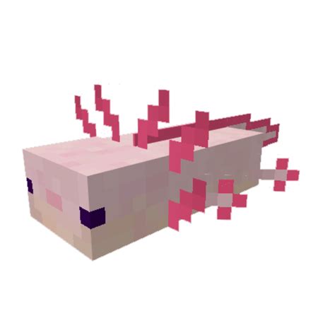 Minecraft Axolotl Skin Template