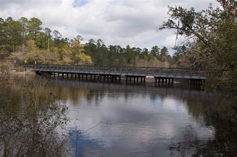 Blackwater River State Park, Florida | A very high Blackwate… | Flickr