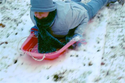 Sledding fun Free Photo Download | FreeImages