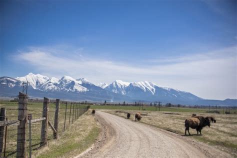 Hidden Gem: Western Montana’s National Bison Range | Glacier Country