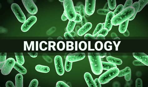 MICROBIOLOGY - Biology