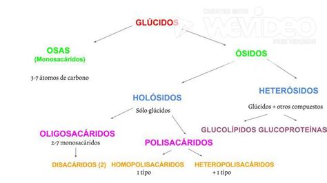 Clasificacion De Los Glucidos - Dinami