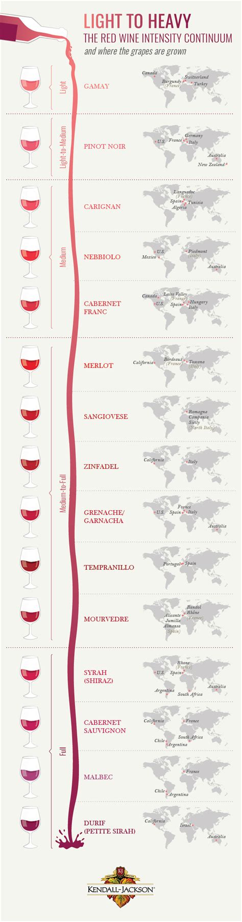 Red Wine Types and More: The Basics of Red Wines