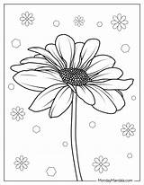 37 Daisy Coloring Pages Free PDF Printables sketch template
