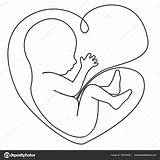 Sketch Of A Baby In The Womb Coloring Pages sketch template