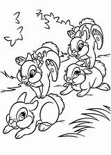 Disney Bunnies Coloring Page Pages sketch template