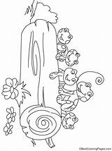 Log Coloring Pages sketch template