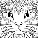 Cat Face Coloring Page 35012 28172 sketch template