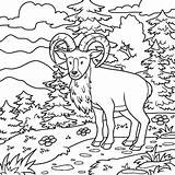 Kids  Online Coloring Solitairey sketch template