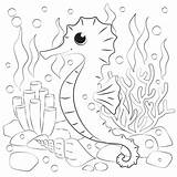 Seahorse coloring Page  Free Printable Coloring Pages sketch template