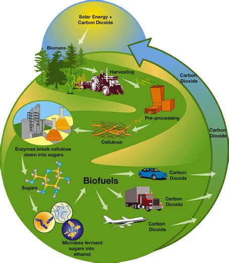 Alternative Energy Development: Biomass Energy As a Renewable Source