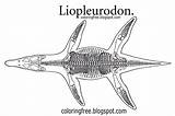 Liopleurodon Coloring Pages Sketch Page sketch template