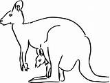 Coloring Kangaroo Coloring Face Pages sketch template