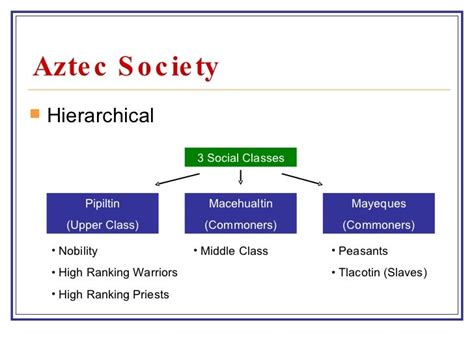 Aztec Social Structure