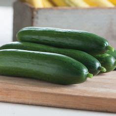 76 Best Parthenocarpic Cucumbers images in 2019 | Cucumber, Cucumber ...