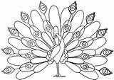 Peacock Feather Coloring Page sketch template