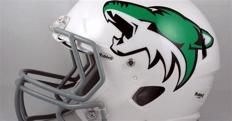 Football Helmet Side Decals | Team Fitz Graphics