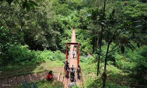 Sunrise Trekking Experience at Tebing Keraton and Taman Hutan Raya in ...