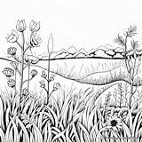 Tall Grass Pages Coloring Pages⚜ Encontre As Melhores Apostas E  sketch template