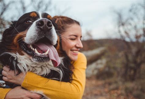 Dog ownership could be down to genes