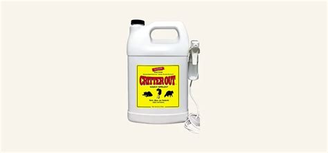 Best Rat Killer Products in 2024 - GreenRatControl