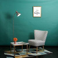 Modern Floor Lamp Flexible Adjustable Neck Reading Lounge Lamp - Brushed Chrome