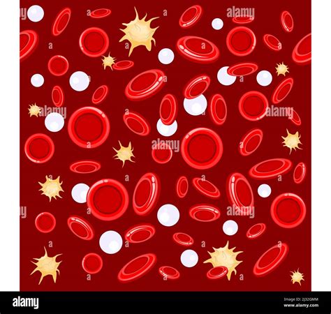 seamless pattern. red and white blood cells under microscope. Vector background Stock Vector ...