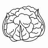 Cauliflower Coloring Pages Printable For Free Download sketch template