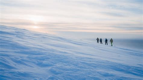 Winter activities Saariselkä - Luontoloma Pro-Safaris