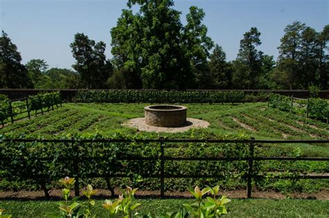 Mount Vernon Gardens Ohio - Beautiful Flower Arrangements and Flower ...