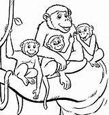 Baby Monkey Coloring Pages  Coloring Home sketch template