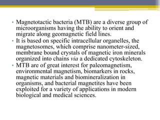 Biomineralization | PPT