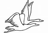 Goose 2 Coloring Page  Free Printable Pages For Kids sketch template