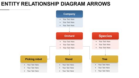 Top 10 Entity Relationship Diagram Templates with Samples and Examples