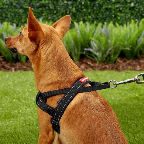 EzyDog Quick Fit Dog Harness, Black, Small - Chewy.com