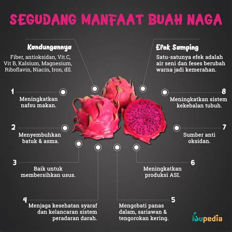 Segudang Manfaat Buah Naga - Ibupedia