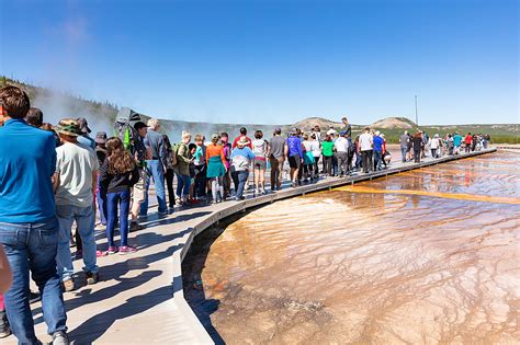 Yellowstone National Park Sets Record for May Visitation