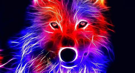 Wolf Wallpapers Red - www.Wolf-Wallpapers.pro