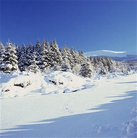 The Wicklow Mountains in Winter - Artist Artist als Kunstdruck oder ...