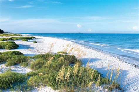 Tampa Beaches: 10Best Beach Reviews