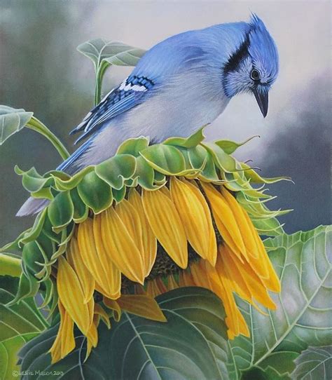 Oil painting on panel - frustrated blue jay tries to figure out how to get the sunflower seeds ...