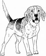 Dog Coloring Pages Printable At GetColoringscom  Free printable sketch template